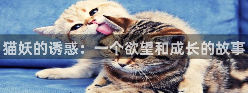 香蕉漫画漫画书阅读下拉式